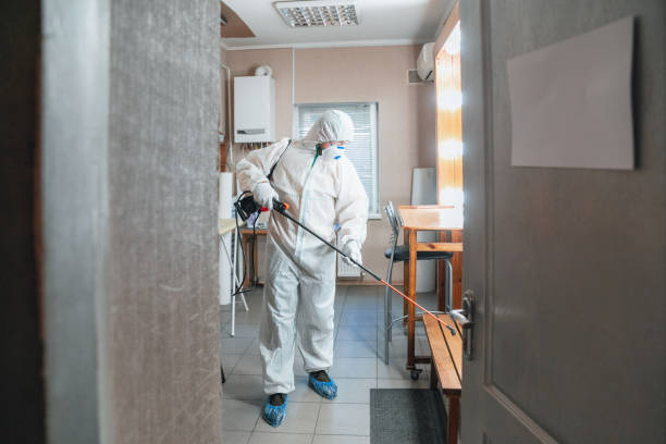 Best Dehumidification Services  in Willow Street, PA