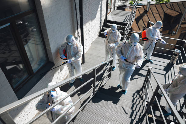 Best Crawl Space Mold Remediation  in Willow Street, PA