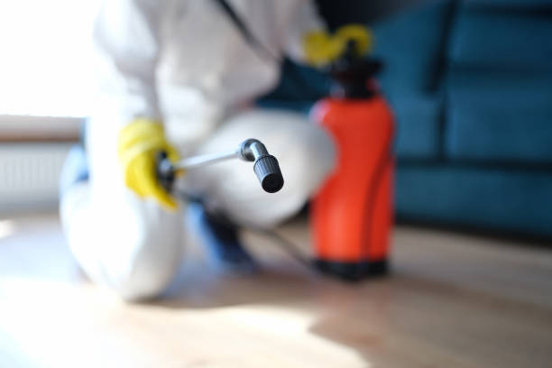 Best Comprehensive Air Testing for Mold Contaminants  in Willow Street, PA