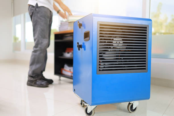 Professional Mold Removal in Willow Street, PA